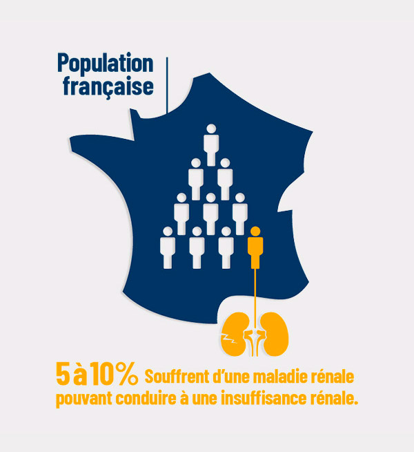 pourcentage de la population française