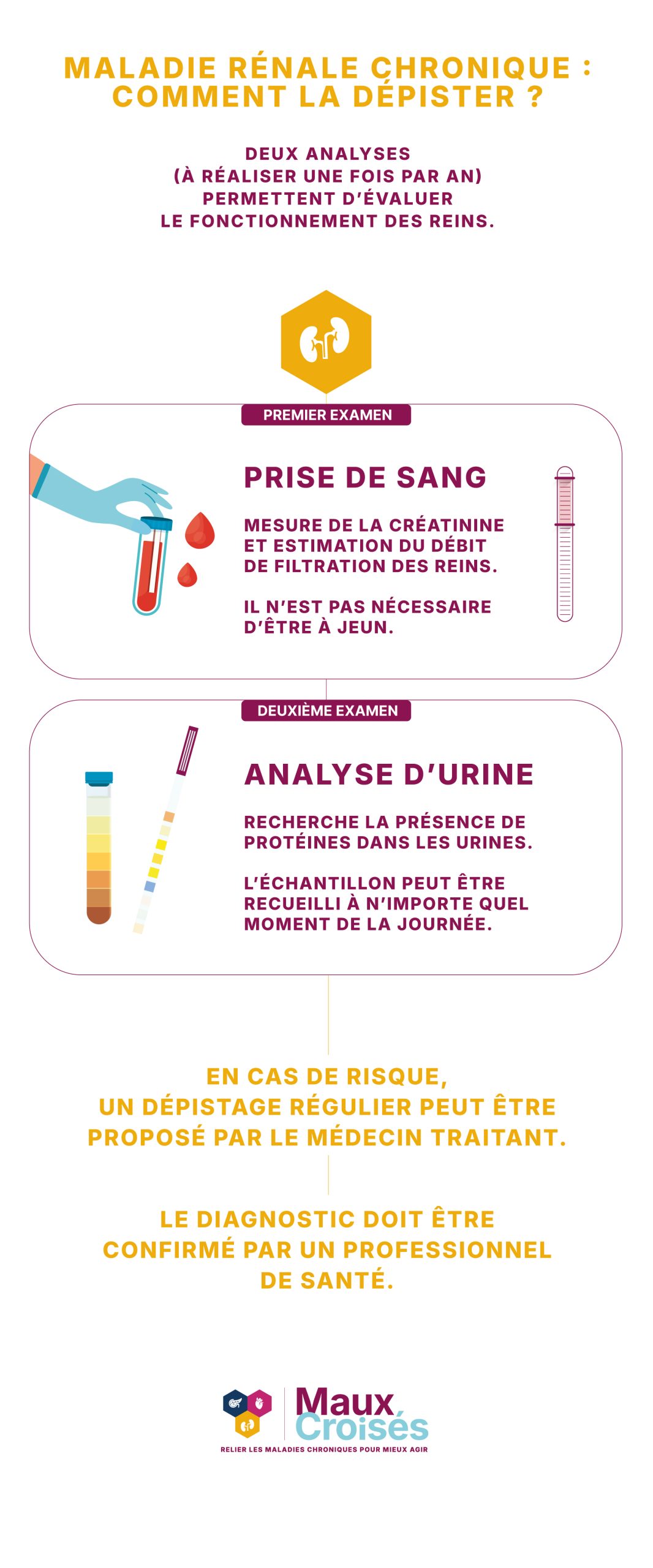 Infographie expliquant le dépistage de la maladie rénale chronique avec deux examens : prise de sang pour mesurer la créatinine et estimer le DFG, et analyse d’urine pour rechercher des protéines.